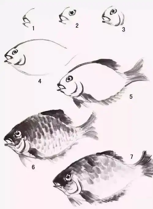 国画入门简单几步学画鱼虾