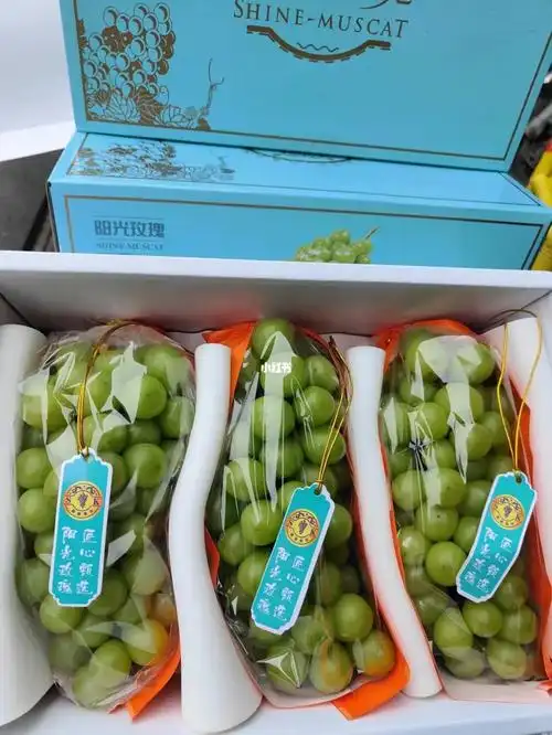我们家批发价65一箱,6斤礼盒装,万邦水果批发市场#阳光玫瑰葡萄