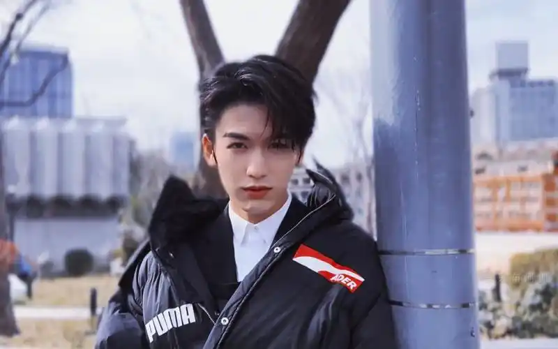 智性恋狂喜我也不想心动可是他高考数学180诶张凌赫x起风了