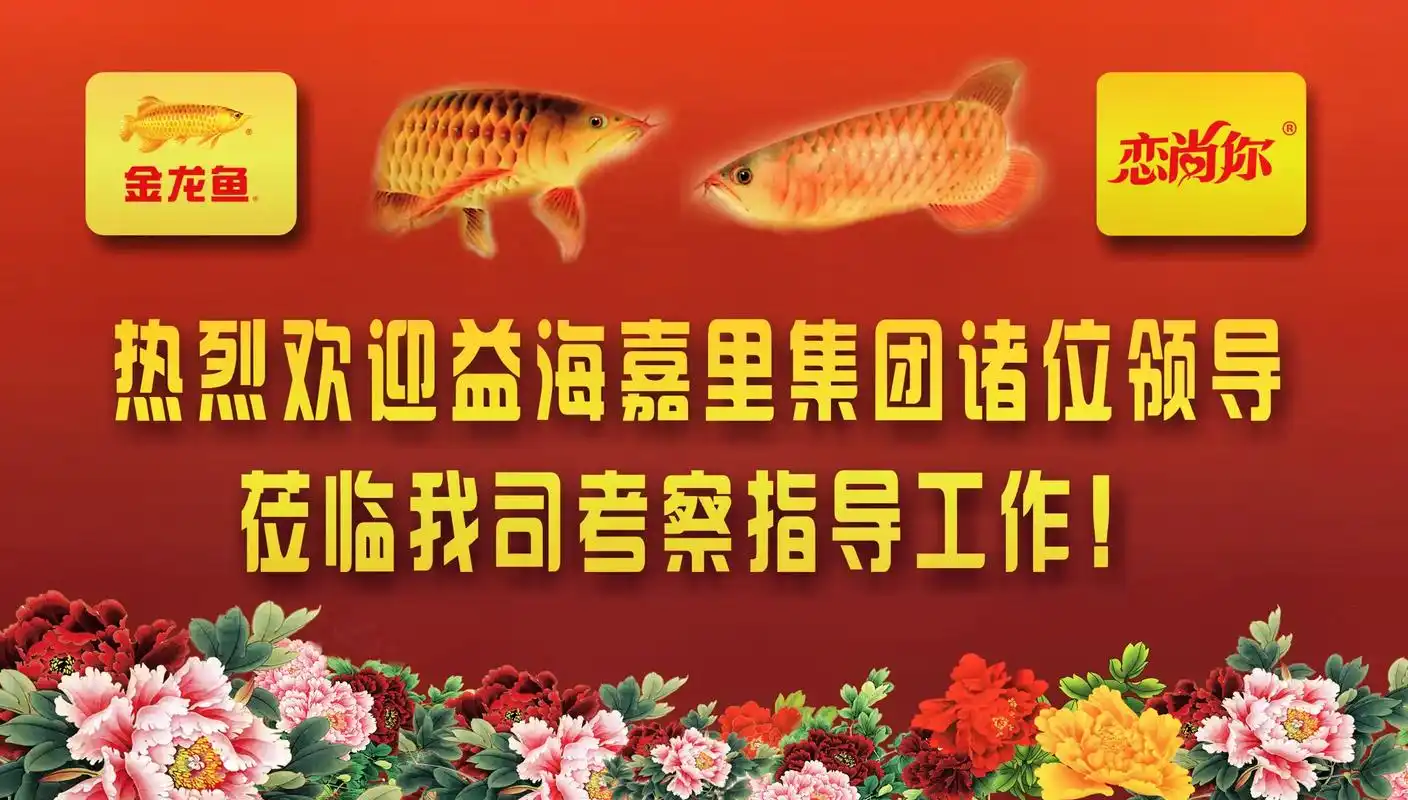 周红军莅临指导 金龙鱼 日饮百领航者 热烈欢迎贝因美领导一行 - 抖音