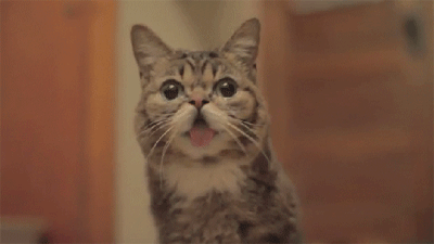 踢毽子gif_好搜图片