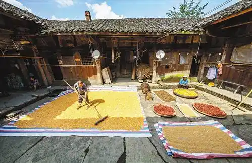 一方小院人间烟火气最抚凡人心静心度春秋