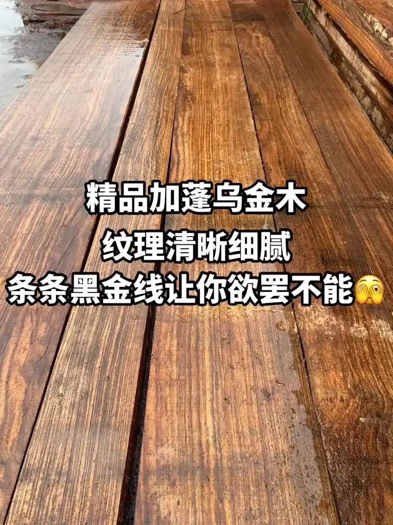 精品加蓬乌金木,黑线清晰可见,纹理细腻#加蓬乌金木 #加蓬小 - 抖音