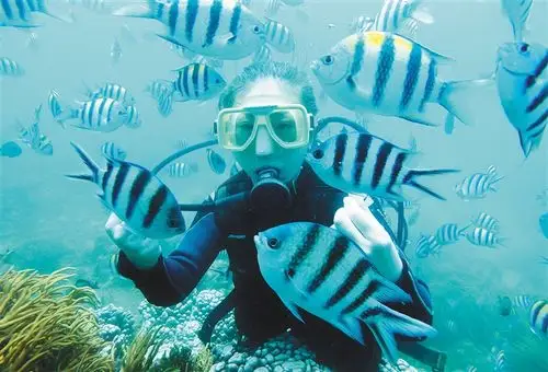 10月2日,游客在三亚蜈支洲岛附近海域潜水,体验海洋生态之美.