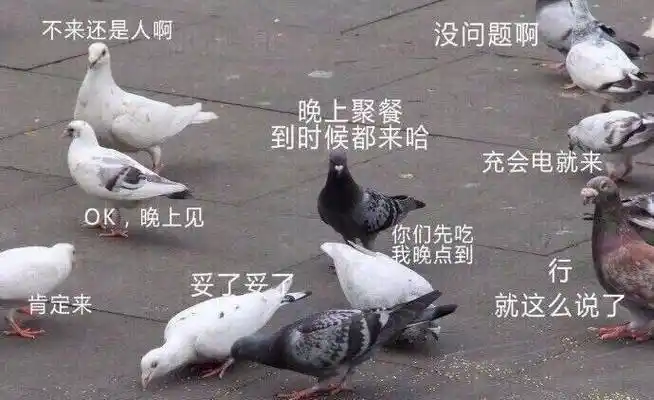 又鸽了吗? - oneplus 8 系列 - 一加手机社区官方论坛