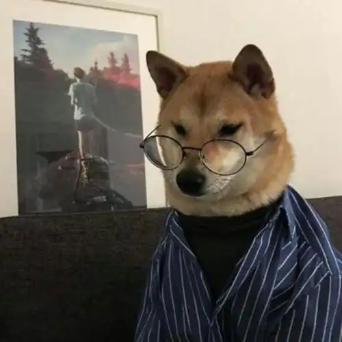 男生头像傻吊又可爱的那种有没有