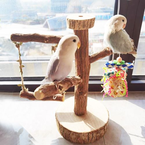 鸟站架鹦鹉桌面树枝鸟架子玄凤牡丹虎皮中小型鸟玩具原木站杆秋千