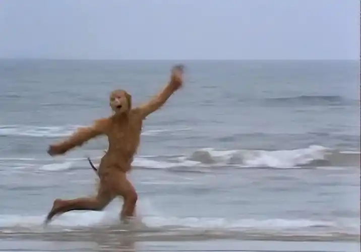 谁能想到,靠孙悟空火了38年的他,竟是个被塞进剧组的"关系户"_杨洁_六