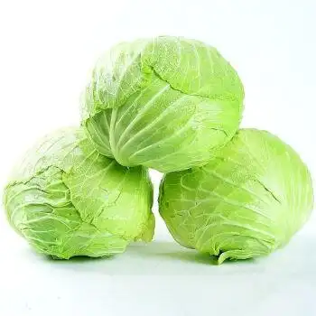 新鲜莲花白包菜甘蓝包心菜5斤白包菜农家自种包菜沙拉菜时令蔬菜精选5