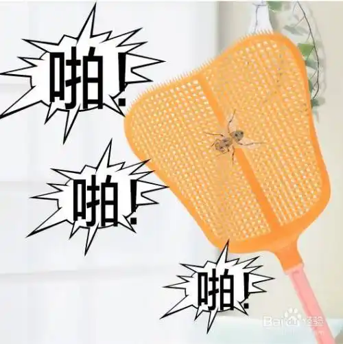 餐饮店怎么灭苍蝇