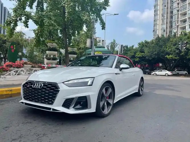 临牌奥迪s5敞篷版07