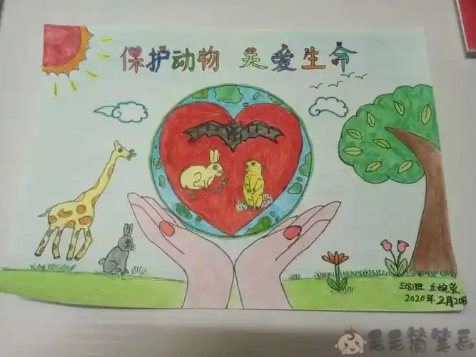 保护动物儿童绘画一等奖