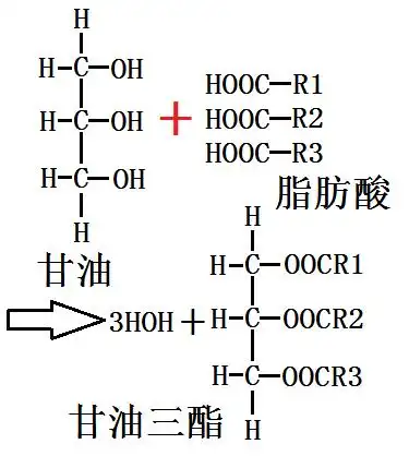甘油的酯化图