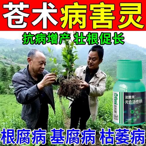 嵩晴苍术根腐病专用肥苍术病全管黑斑病灰霉病僵苗烂根叶斑病茎腐枯萎