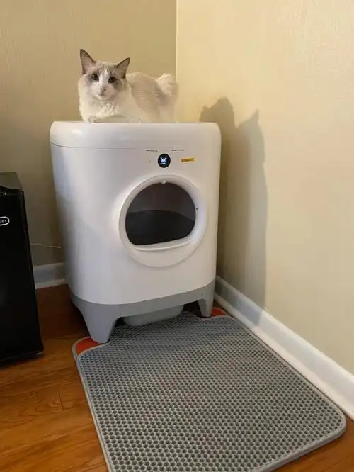 小佩自动猫砂盆