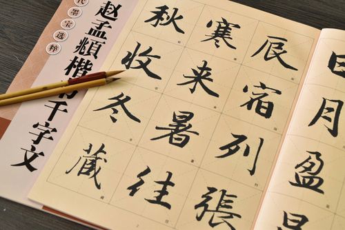 高清放大版8开米字格简体旁注入门临摹练习教材教程 赵体毛笔字帖