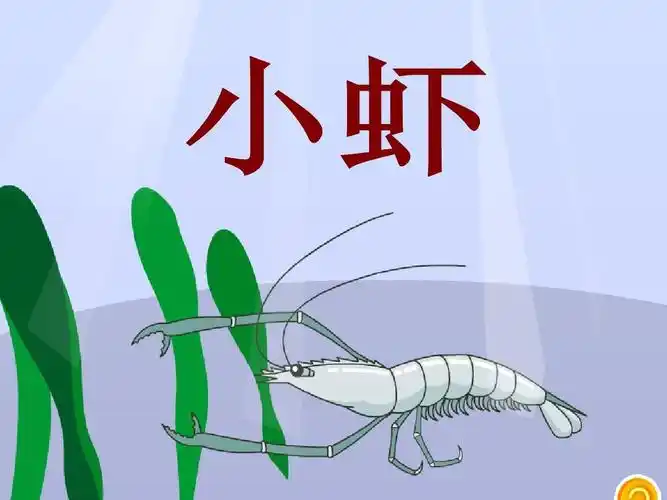 《小虾》课件2-优质公开课-北师大三下精品ppt