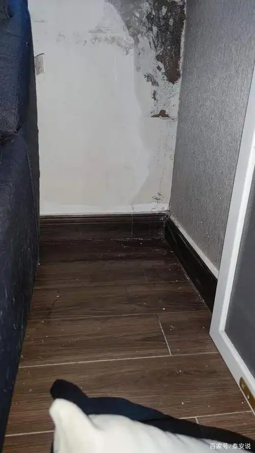 欲哭无泪!泰安某小区房屋漏水,床都湿了!