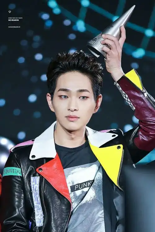 如何评价shinee的队长温流