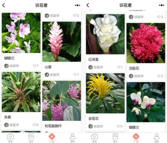 小程序识花君:扫一扫即可识别花草信息