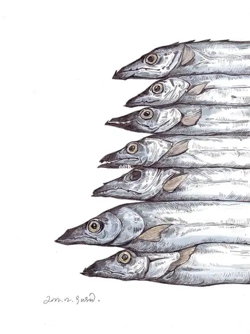 画画这七条鱼是老演员了