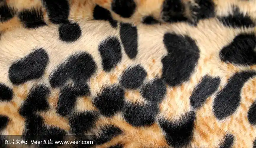 一个老虎皮肤纹理的特写.野生老虎橙色皮肤上的黑点.