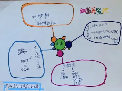 在家读书,共同成长——榆林高新小学四二班"停课不停学"——思维导图