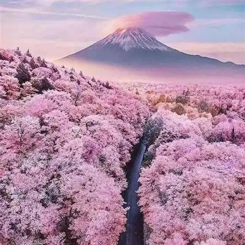 28张微信风景头像,有花有草有风景,太好看了_整理_张微信_头像