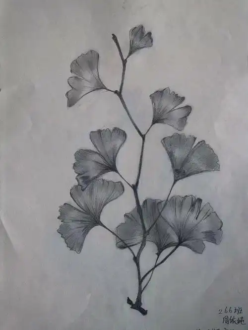 湘美七下画家笔下的质感