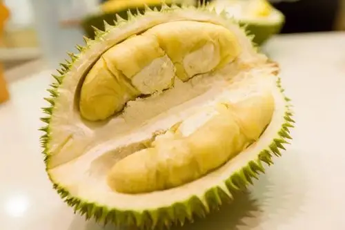 在新加坡吃榴莲你可不能只知道猫山王