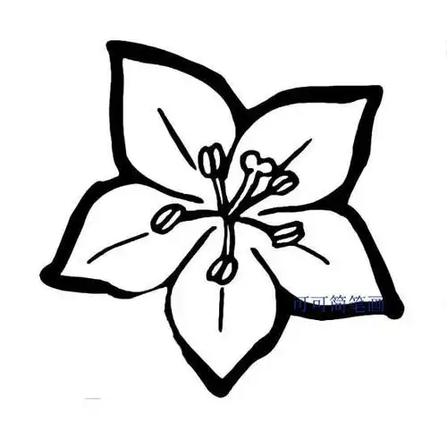 紫荆花简笔画简单漂亮紫荆花画法