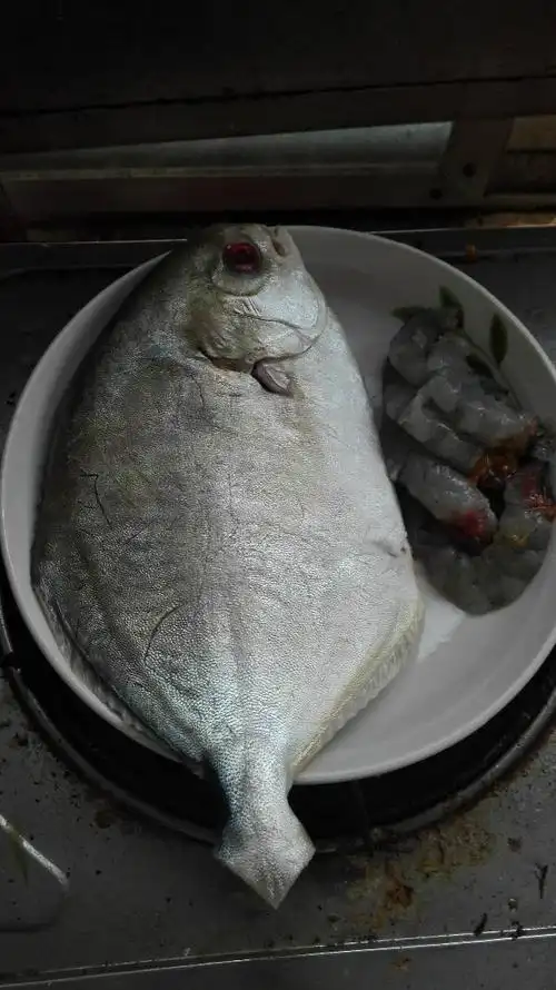 海生鱼类   清蒸,红烧均可 鲹科      carangidae         鲳鲹属