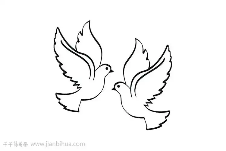 鸽子简笔画教程