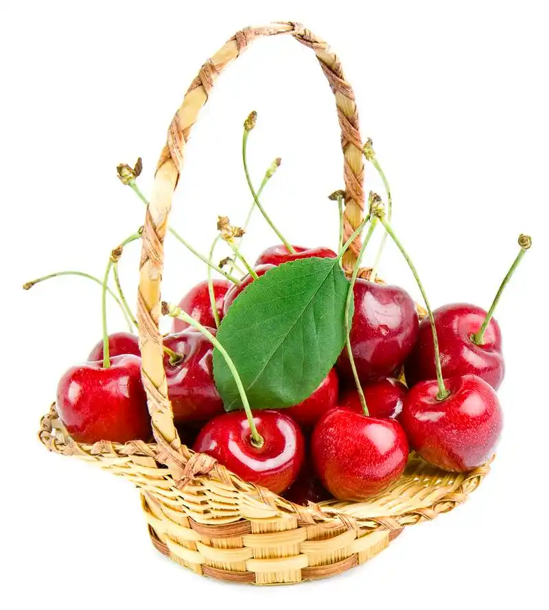 在白色上孤立一篮子的樱桃