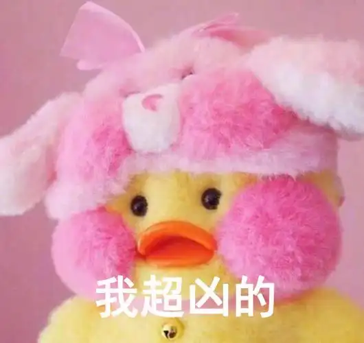 玻尿酸鸭可爱萌萌哒搞笑呆萌gif动图_动态图_表情包下载_soogif