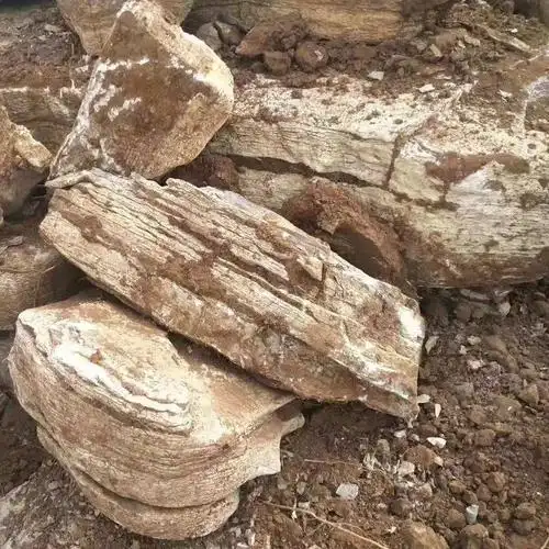 磬云堂 千层石 黄色千层石购买 晋中千层石厂家 欢迎选购