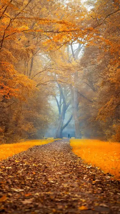 心情不好的时候看看风景