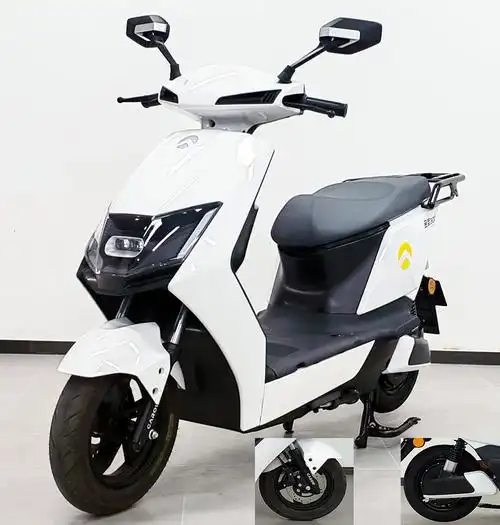 jj1000dt7a金箭牌纯电动前盘式鼓式后盘式鼓式电动两轮摩托车