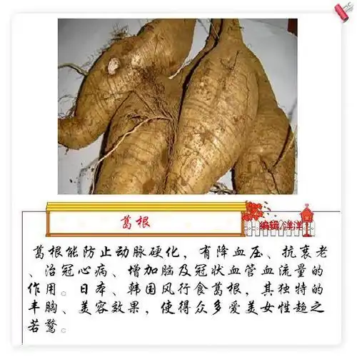 宣传图片-河南许昌望田电器有限公司|望田现磨豆浆|河