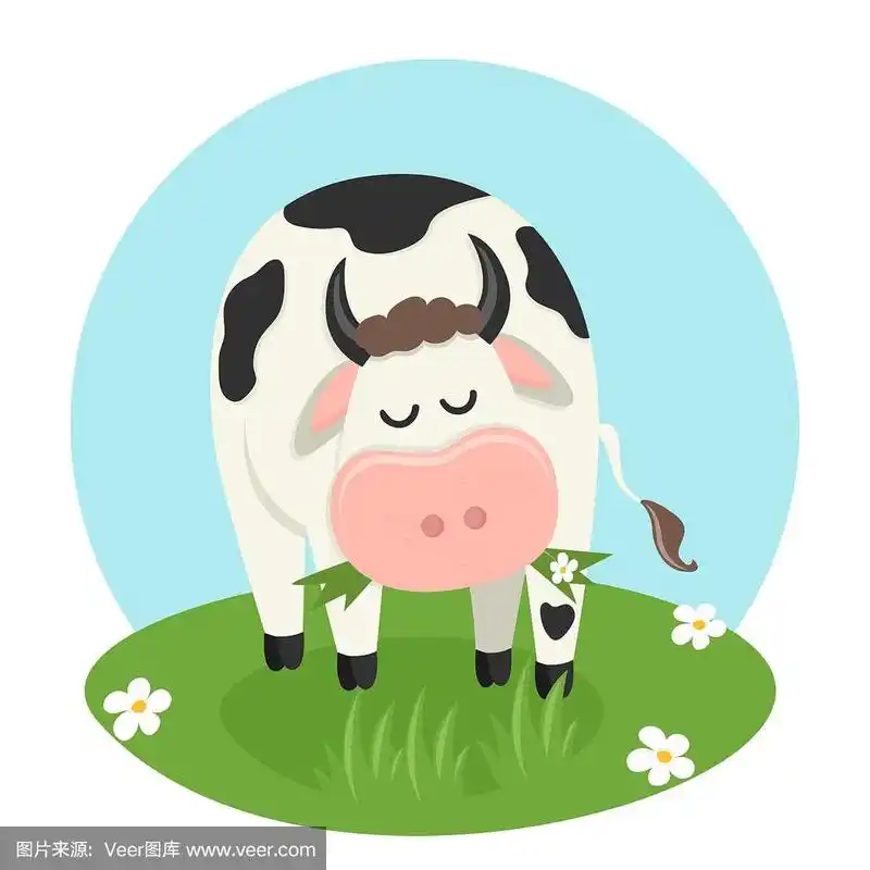 cow eating grass.