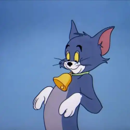 小猫咪就是要系小铃铛0198好可爱哦哦哦哦哦0198汤姆是我的