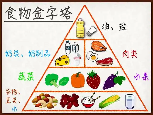 乐苗健康教程食品安全健康卫生习惯食物金字塔