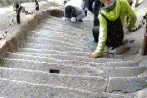 表情| 你懂我意思吧?