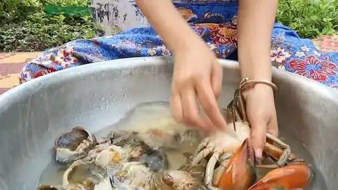 原创美女捉到只5斤的大螃蟹那蟹腿比鸡腿还肥炒着吃太美味