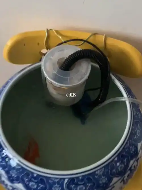 自制过滤器鱼缸