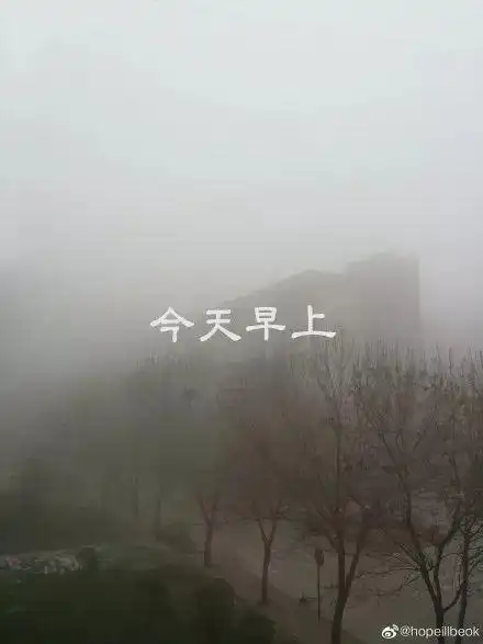 大雾天气要注意这些事儿
