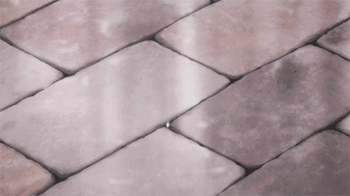 『动态』为美好的世界献上祝福_动漫动态图吧_百度贴吧