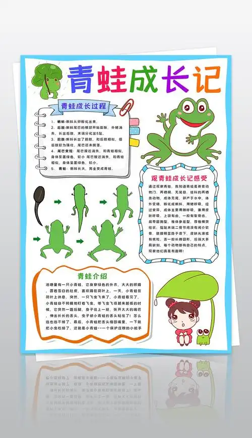 原创青蛙成长记小报动物生长手抄报青蛙生长过程小报观察日记手抄报