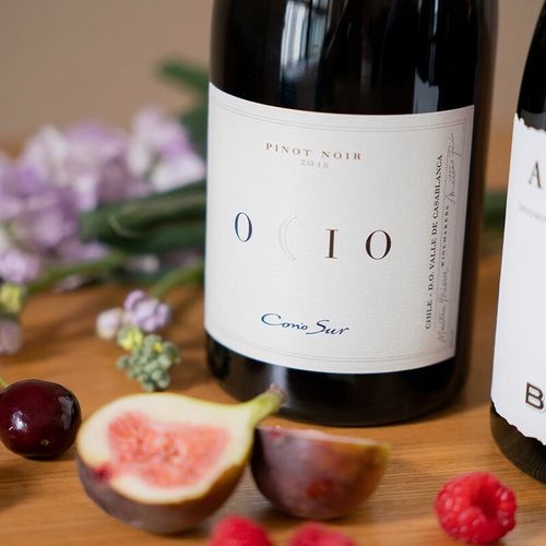 柯诺苏智利柯诺苏逸品黑比诺红葡萄酒 单支光瓶