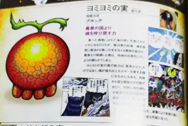 海贼王恶魔果实图鉴全新果实出现模样真是太奇怪了上